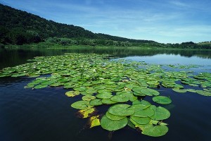 Laghi Di Monticchio